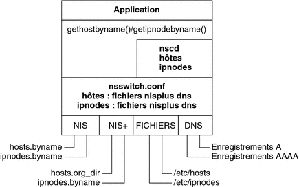 Ce diagramme illustre la relation entre des bases de données NIS, NIS+, Files et DNS et le fichier nsswitch.conf.