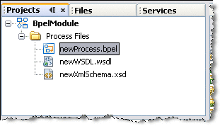 BPEL Module process files