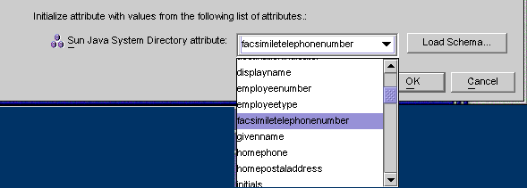 image:Map the Directory Server attribute to the Windows attribute.