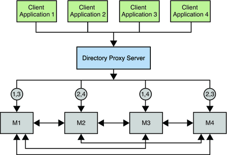 image:Figure shows Directory Proxy Server balancing requests based on client application.