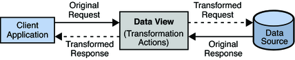 image:Figure shows a high level view of how a mapping transformation works