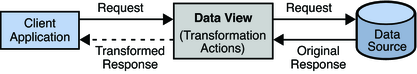 image:Figure shows a high level view of how a read transformation works