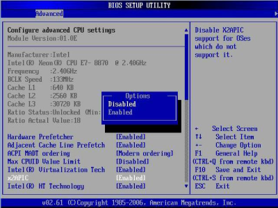 image:Graphic showing window with x2APIC in the BIOS Setup Utility.