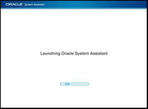 image:Oracle System Assistant Boot messages