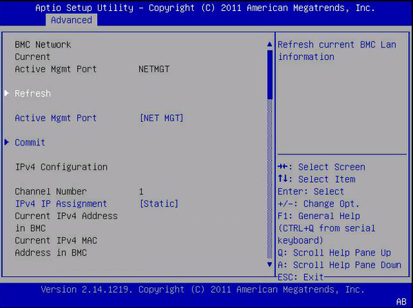 image:This figure shows the BMC Network screen.
