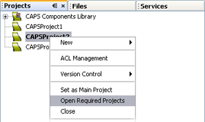 image:Screen capture of a Project context menu.