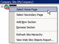 Select homepage option highlighted in popup menu