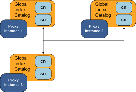 Three proxy servers with replicated global index catalogs