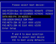 image:Select Boot Device menu in legacy BIOS mode.