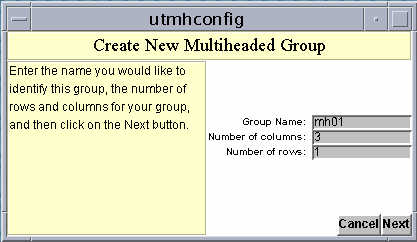 Screenshot showing the first step of the Create New Multiheaded Group wizard in the Sun Ray Multi-head Administration GUI.