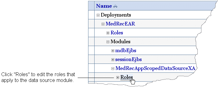 Roles for a  module