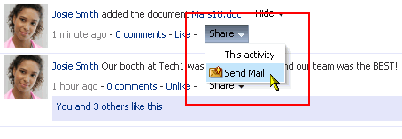 Send Mail option on the Share menu