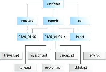 image:El diagrama muestra un ejemplo de un directorio de informes en el directorio /usr/aset.