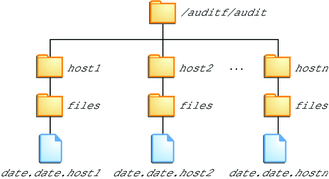 image:El diagrama muestra un directorio root de auditoría predeterminado cuyos nombres de directorio son nombres de host.