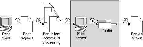 image:5 つの手順のうち、印刷サーバーが印刷要求をプリンタに送信しているところを示す図。これら 5 つの手順については、次に説明します。