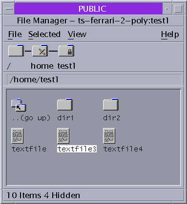 image:该屏幕显示了标记为 PUBLIC（公共）的文件管理器以及其中的文件。