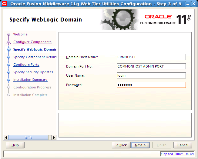 Specify WebLogic Domain Window