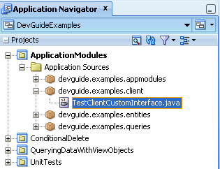 Selected test client in Application Navigator