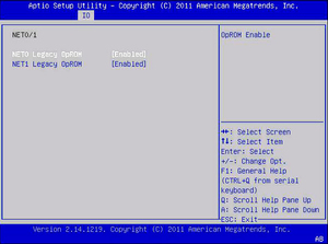image:This figure shows the IO Net0/1 screen.