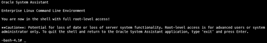 image:A screen shot showing the Oracle System Assistant Advanced Tasks shell screen.