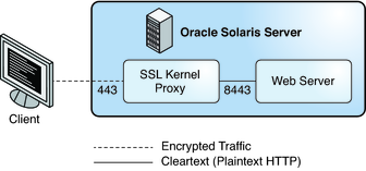 image:Graphic shows a web client using the encrypted SSL port to communicate with web server.