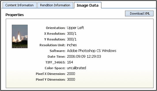 Graphic of image data page