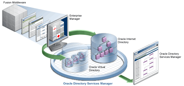 Technical illustration showing Oracle Directory Services Manager