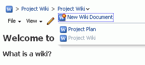 List of Wiki Documents