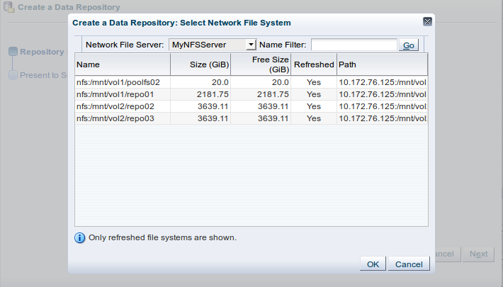 This figure shows the Create a Data Repository: Select Network File System dialog box.
