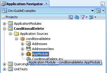 Selected AM in Application Navigator