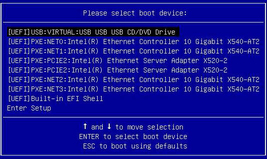 image:This is a screen capture showing the Please Select Boot Device Menu in UEFI.
