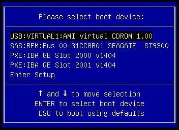 image:A screen capture showing a sample Boot Device