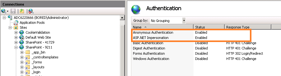 Graphic of IIS Security Configuration.