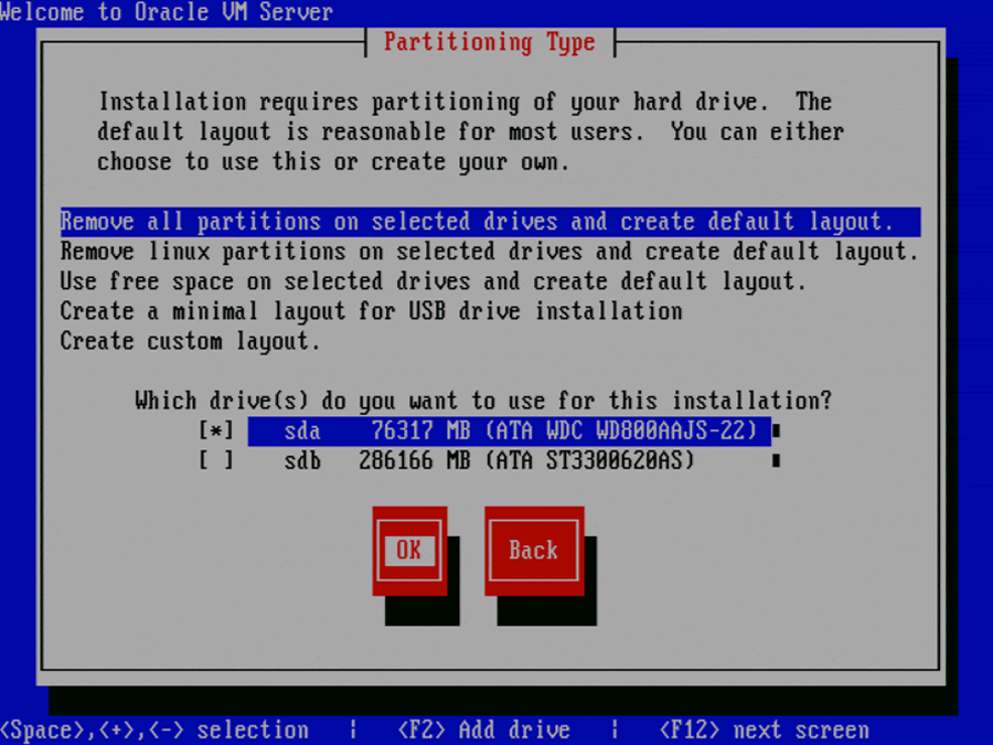 この図は、Oracle VM Serverの「Partitioning Type」画面を示しています。
