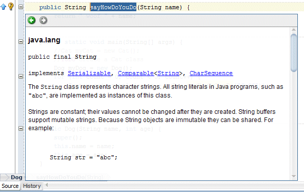 Source editor with superimposed window giving detailed information about the String class