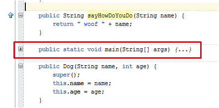 Source editor for Dog class: cursor over + sign, where code has been contracted, and is no longer visible.