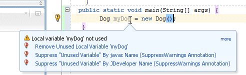 Source editor: cursor placed over myDog variable, and a tooltip displays to tell you that the variable has not been used.