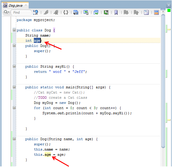 Source editor with 'age' variable highlighted in yellow.