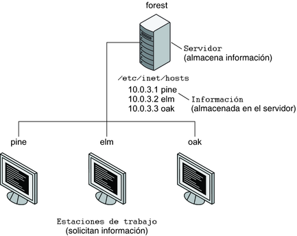 image:La ilustración muestra el servidor y los clientes en una relación informática cliente-servidor.