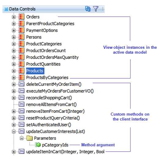 Image shows data model in data control palette