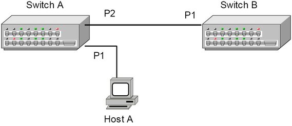 image:This figure shows a sample topology between one host and two switches