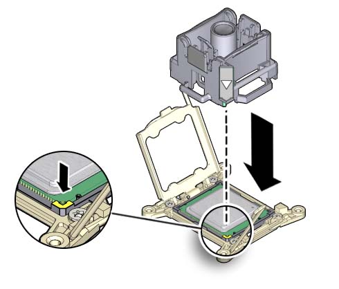 image:An illustration showing the CPU replacement tool                                         lowering onto the CPU.