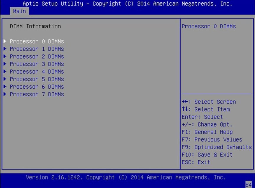 image:A screen capture showing DIMM information.