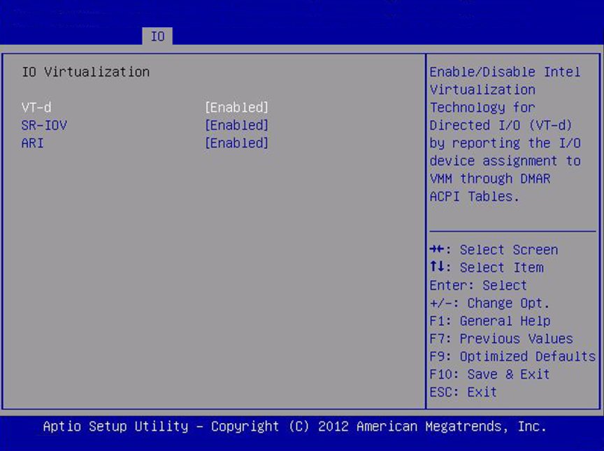 image:Screen capture showing IO Virtualization screen