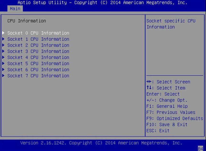 image:A screen capture showing the CPU Information screen.