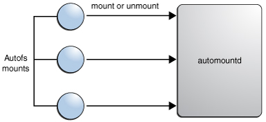 image:Graphic illustrates how the autofs service starts the automountd daemon.