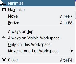 image:Graphic shows the title bar menu with the Always on Visible Workspace  item on the menu.
