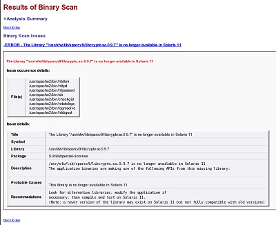 image:Image shows a sample issue description from a binary scan.