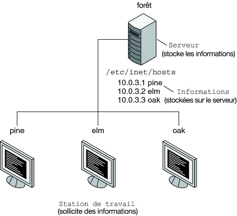 image:L'illustration montre le serveur et les clients en relation informatique client-serveur.