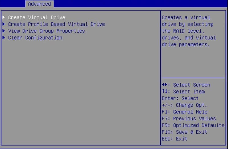 image:A screen capture showing the Advanced screen options.
